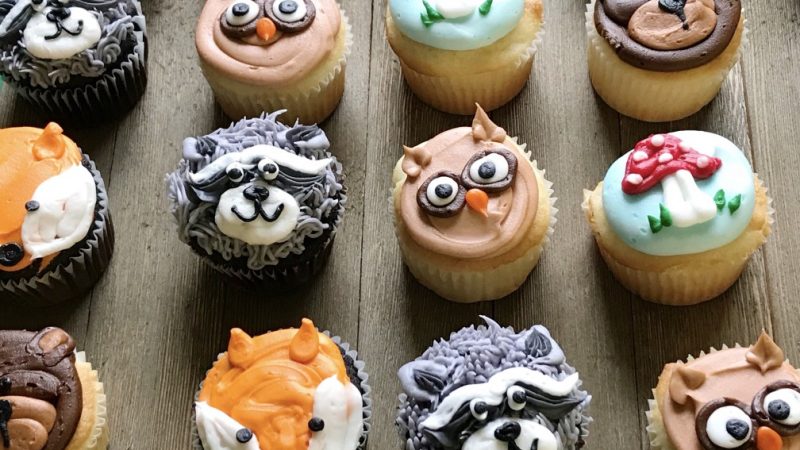 Le Cupcake : le gâteau idéal !